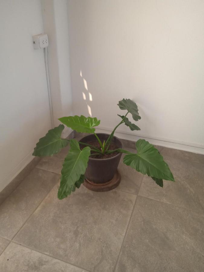 Hospedaje Paracas Sur 外观 照片